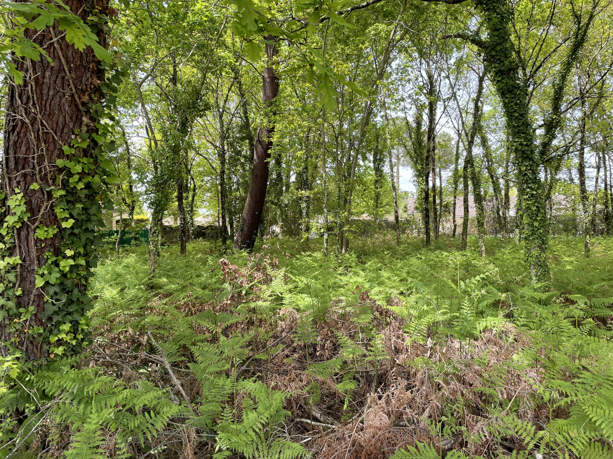 Terrain à vendre à Ares, 497 m² – photo 1 sur 1